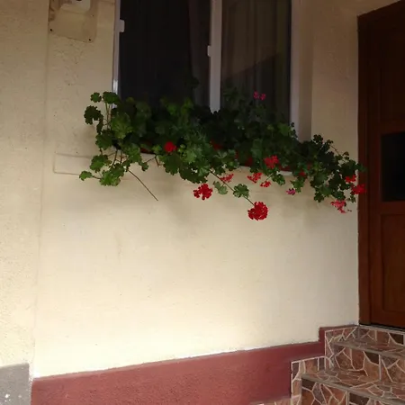 Casa Timea Homestay Turda