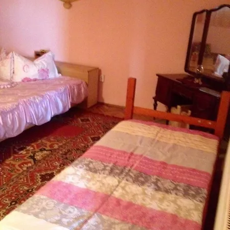 Homestay Casa Timea Turda