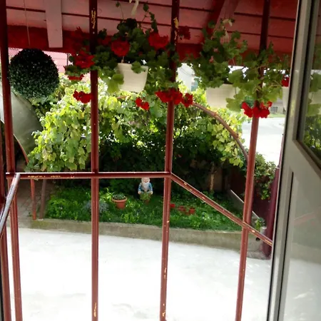 Casa Timea Homestay *