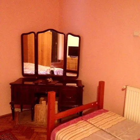 Casa Timea Homestay *