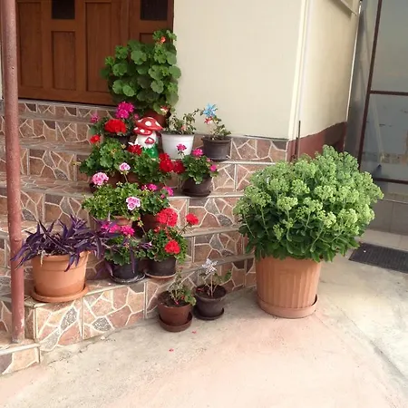 Casa Timea Homestay
