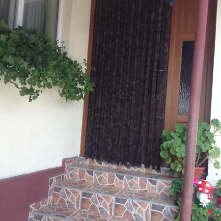Homestay Casa Timea